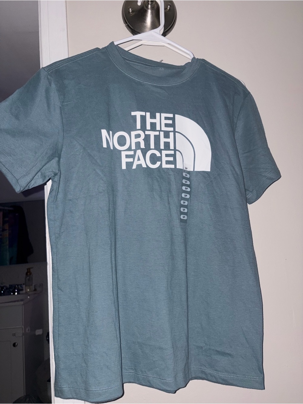The North Face Dusty Teal Relaxed Fit Logo Tee